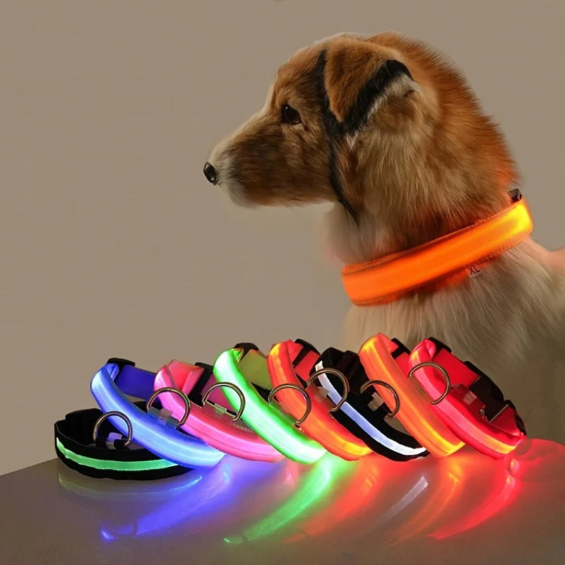 مقود الأمان الليلي بتقنية LED من GlowWalk™