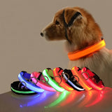 مقود الأمان الليلي بتقنية LED من GlowWalk™
