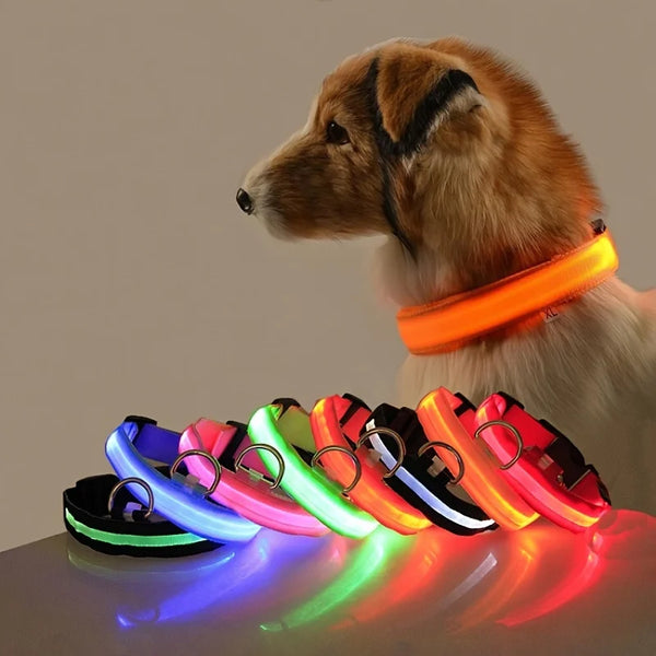 مقود الأمان الليلي بتقنية LED من GlowWalk™
