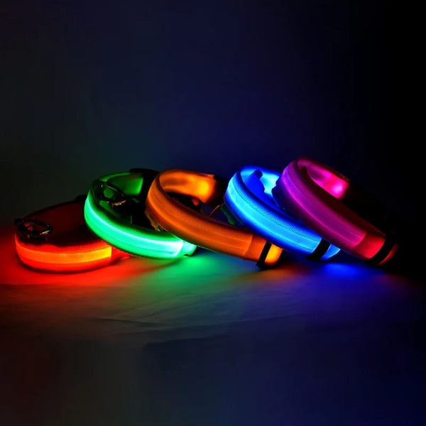 مقود الأمان الليلي بتقنية LED من GlowWalk™