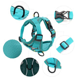 مجموعة حزام ومقود TrailFit™ العاكسة