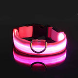مقود الأمان الليلي بتقنية LED من GlowWalk™
