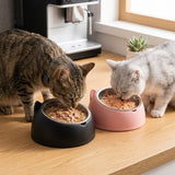 Tilted Stainless Steel Cat Bowl with Stand — 15° Anti-Strain Design