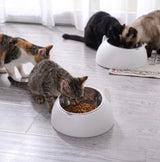 Tilted Stainless Steel Cat Bowl with Stand — 15° Anti-Strain Design