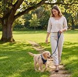 Reflective No-Choke Harness + Leash Set