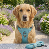 Reflective No-Choke Harness + Leash Set