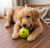 Squeaky Footprint Ball for Dogs - Erratic Bounce