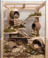 Natural Coconut Hideout House - Chew-Resistant Hamster & Guinea Pig Hide