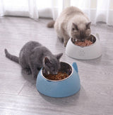 Tilted Stainless Steel Cat Bowl with Stand — 15° Anti-Strain Design