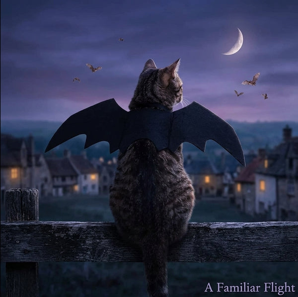 Bat Wings Halloween Harness Costume for Cats & Dogs