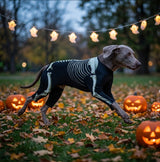 Skeleton Print Dog Jumpsuit - Halloween Costume for Dogs