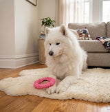 Thorn Ring Chew & Tug Toy for Small Dogs — Textured Grip, 9.5cm