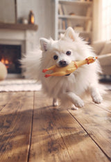 Squeaky Screaming Chicken — Long-Squeal Dog Toy, 17–40cm