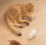 Wind-Up Mouse Chase Toy — Interactive Plush Mice