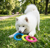 Thorn Ring Chew & Tug Toy for Small Dogs — Textured Grip, 9.5cm
