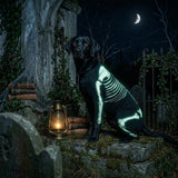 Skeleton Print Dog Jumpsuit - Halloween Costume for Dogs