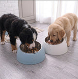 Tilted Stainless Steel Cat Bowl with Stand — 15° Anti-Strain Design