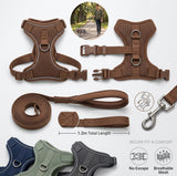 Reflective No-Choke Harness + Leash Set