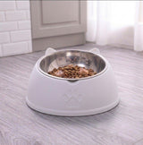 Tilted Stainless Steel Cat Bowl with Stand — 15° Anti-Strain Design