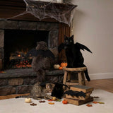 Bat Wings Halloween Harness Costume for Cats & Dogs