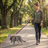 Reflective No-Choke Harness + Leash Set
