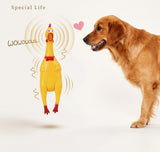 Squeaky Screaming Chicken — Long-Squeal Dog Toy, 17–40cm