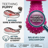 SPIKE-BELL Chew Toy for Teething Puppies — Soft TPR, 9.5cm