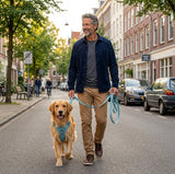 Reflective No-Choke Harness + Leash Set