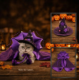 Witch Cloak & Hat Costume Set for Cats & Dogs