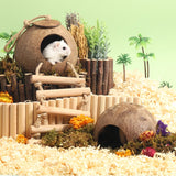 Natural Coconut Hideout House - Chew-Resistant Hamster & Guinea Pig Hide