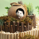 Natural Coconut Hideout House - Chew-Resistant Hamster & Guinea Pig Hide