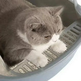 High-Sided Open Cat Litter Box — Splash Guard & Low-Entry Step