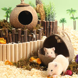 Natural Coconut Hideout House - Chew-Resistant Hamster & Guinea Pig Hide