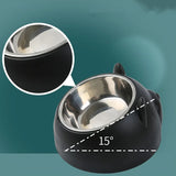 Tilted Stainless Steel Cat Bowl with Stand — 15° Anti-Strain Design