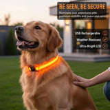 طوق الأمان LED فائق السطوع LumiPet™