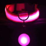 طوق الأمان LED فائق السطوع LumiPet™