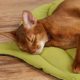 Reversible Leaf Cat Bed — Soft, Washable & Non-Slip