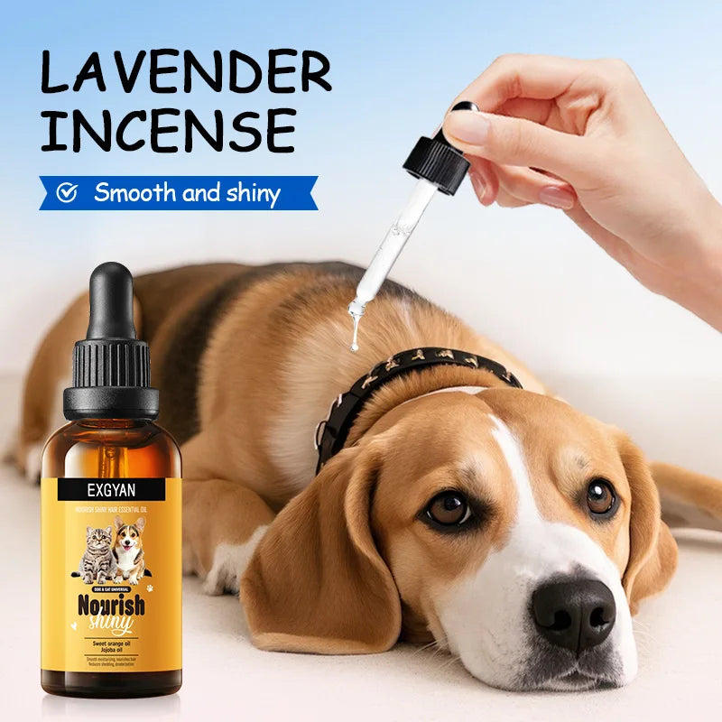 Nourishing Coat Oil for Dogs & Cats — Shine & Detangle, 30ml