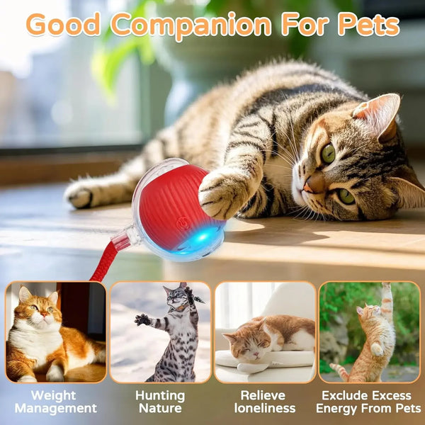 Smart Rolling Cat Ball — Rechargeable Interactive Toy