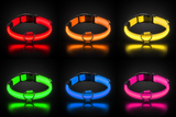 طوق الأمان LED فائق السطوع LumiPet™