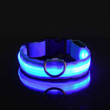 مقود الأمان الليلي بتقنية LED من GlowWalk™