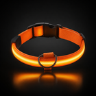 طوق الأمان LED فائق السطوع LumiPet™