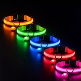 طوق الأمان LED فائق السطوع LumiPet™